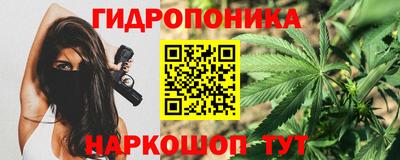 эйфоретик Новокубанск