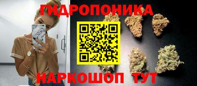 эйфоретик Новокубанск
