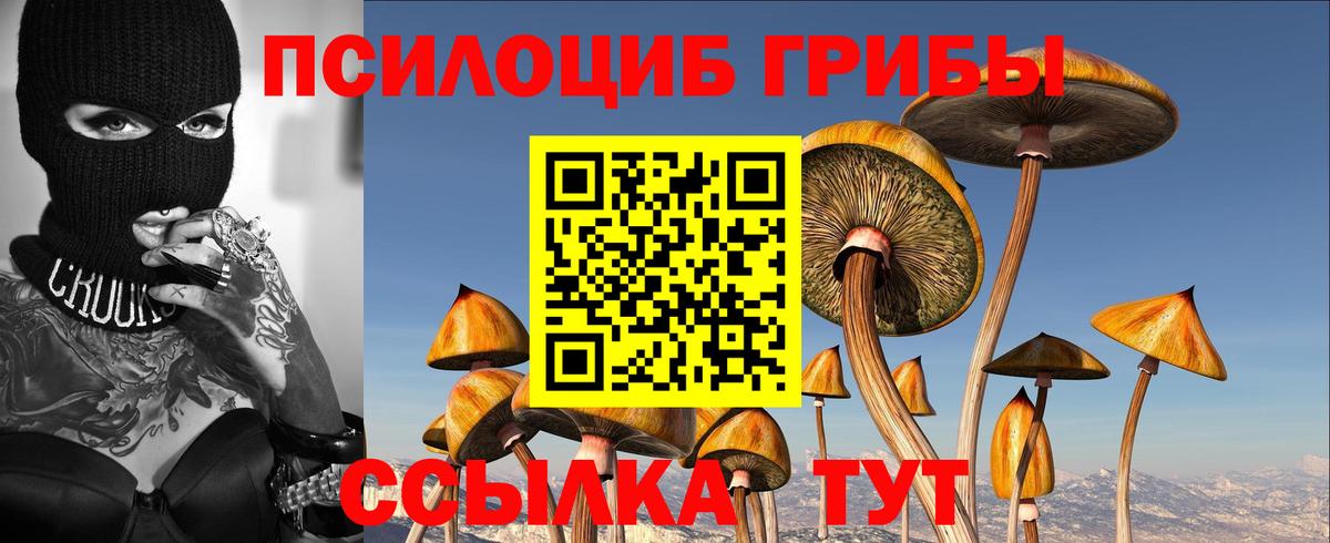 Галлюциногенные грибы Cubensis Рузаевка